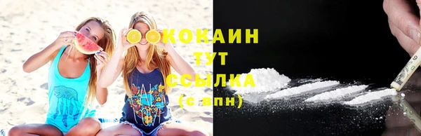 дурь Тутаев