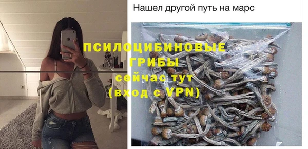 дурь Тутаев