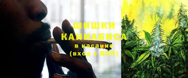 дурь Тутаев