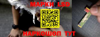дмт Донской