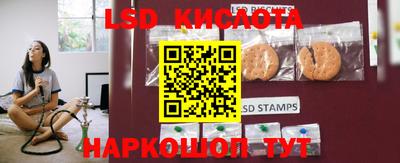 дмт Донской