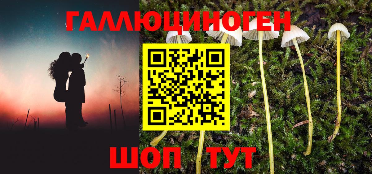 Новосибирск  Галлюциногенные грибы Cubensis  Вход с VPN 