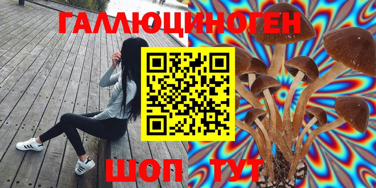 Галлюциногенные грибы ЛСД Новосибирск